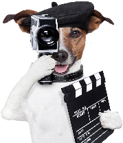 copie de film super 8 la seyne toulon